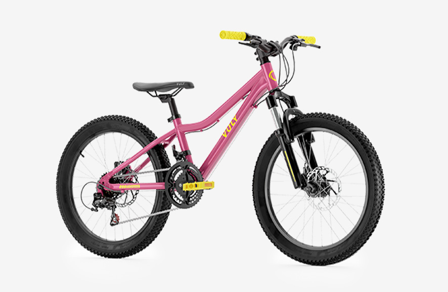 pink kids 20 inch mountain bike