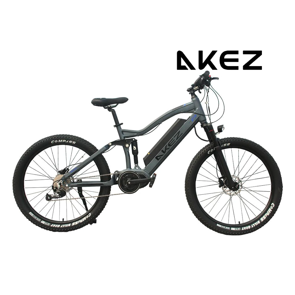 AKEZ road and MTB e bikes