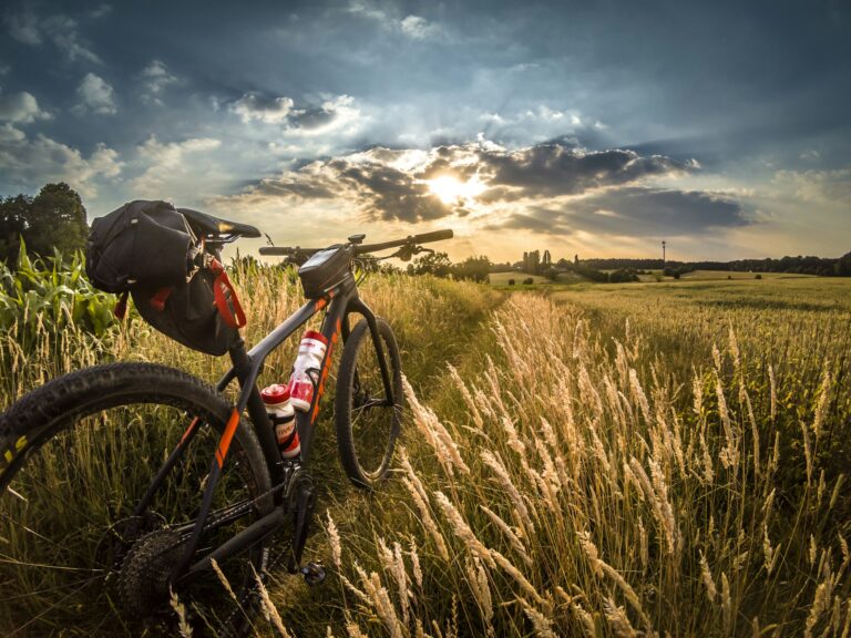 a mountain bike in a wheat field